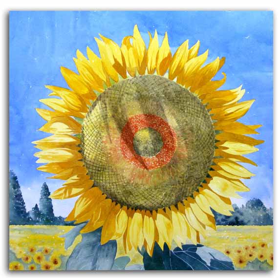 Print of watercolour painting of sunflower, by artist Lesley Olver