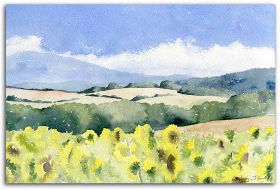 Aquarelle de l'Arige, ralise par l'artiste Lesley Olver