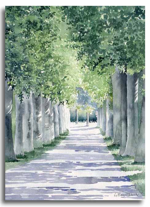 Aquarelle d'une avenue de platanes, ralise par l'artiste Lesley Olver